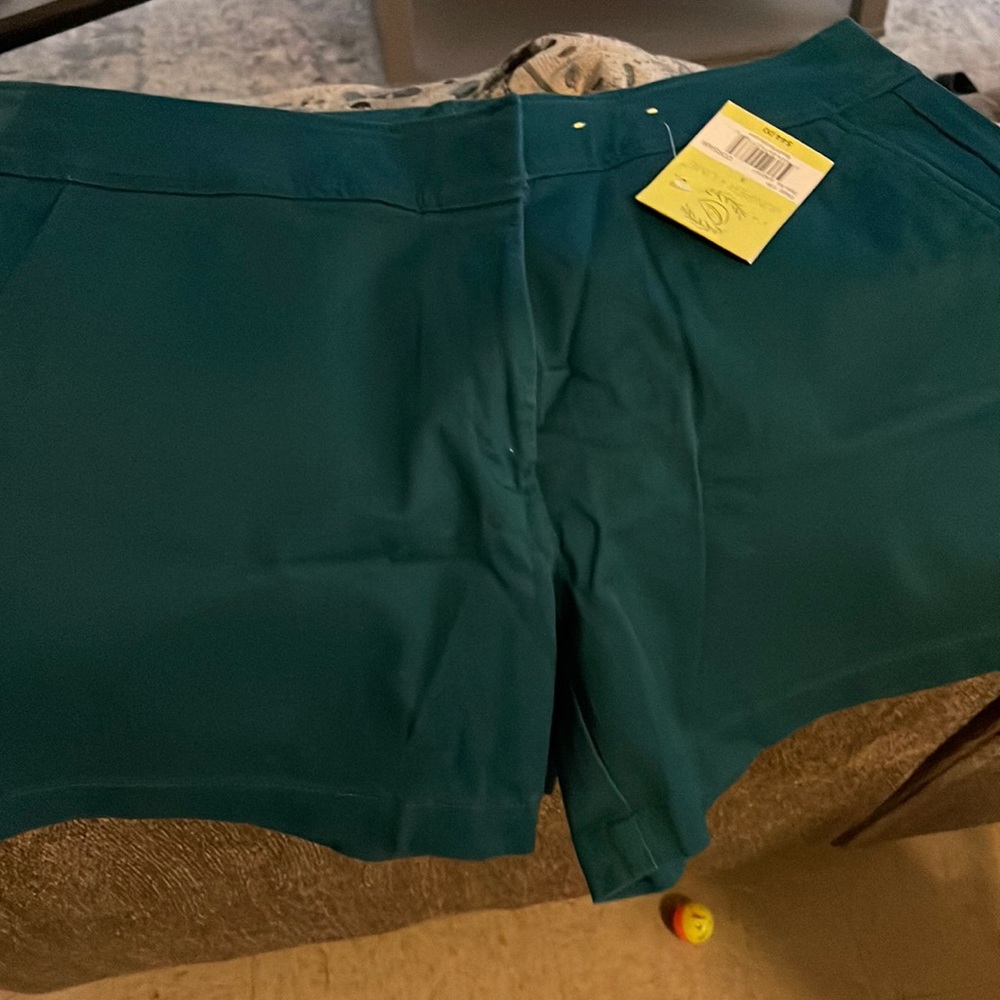 Juniper + Lime Corsair Shorts
